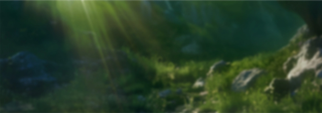 Heavenly Sage's background